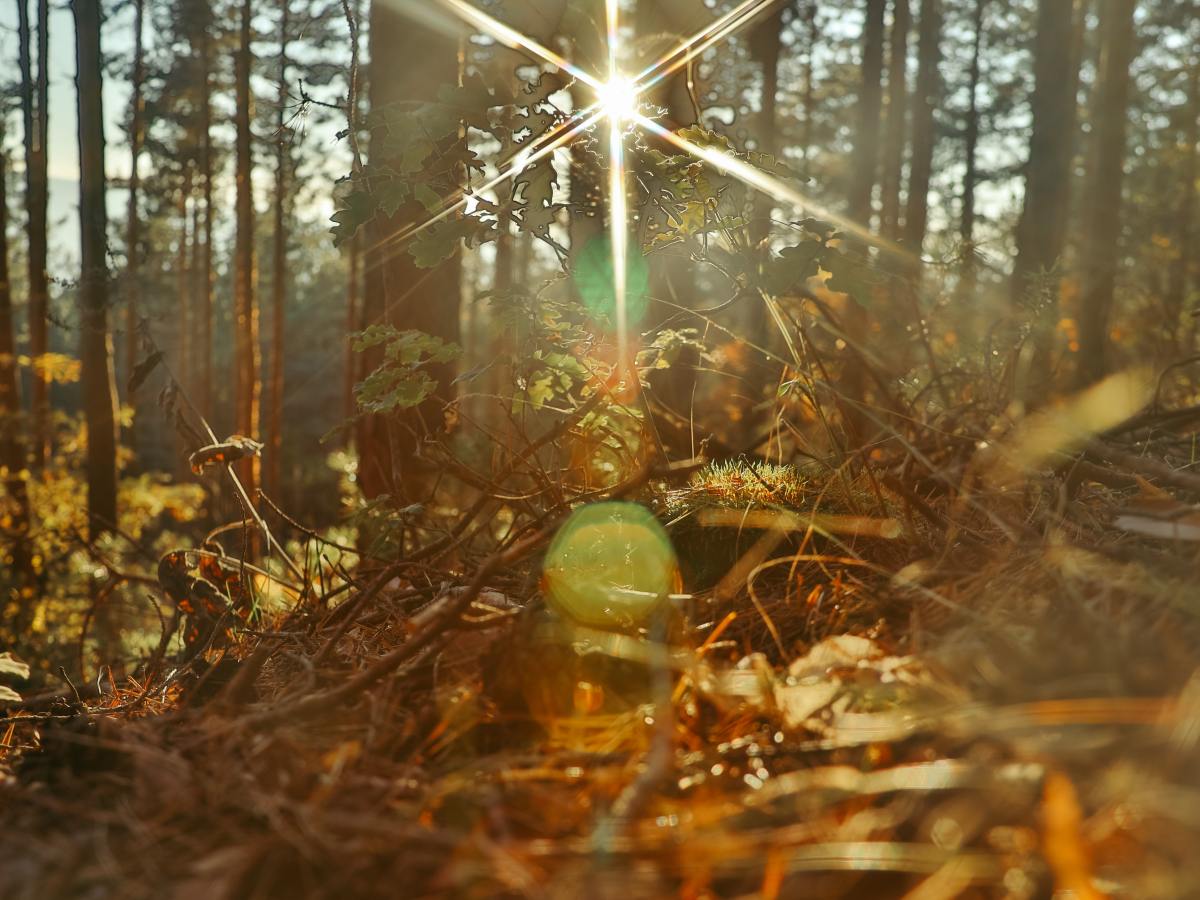 Land Acknowledgements: What’s the&nbsp;Point?